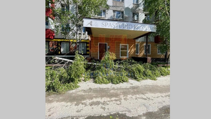 Сильный ветер посносил деревья и заборы в Нижневартовске