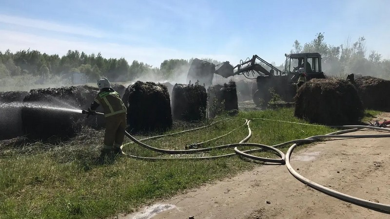 Два школьника помогли предотвратить крупный пожар на ферме в Югре