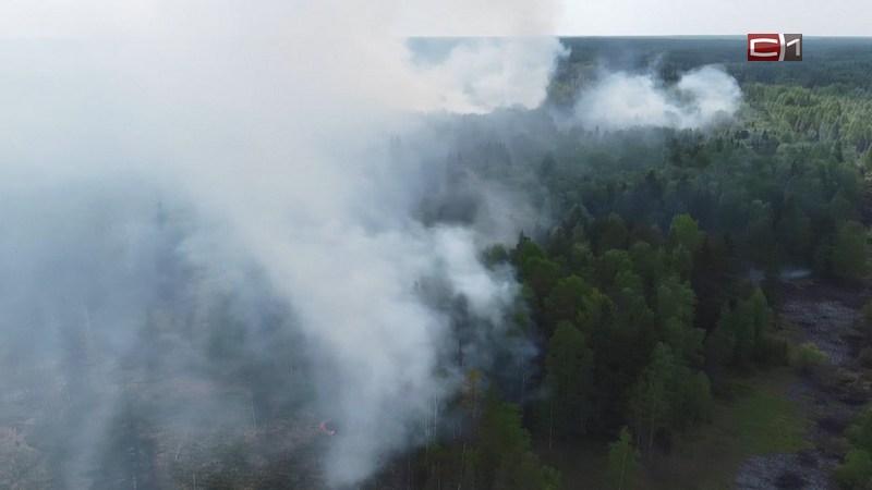 За неделю югорские пожарные ликвидировали почти три десятка возгораний в лесах