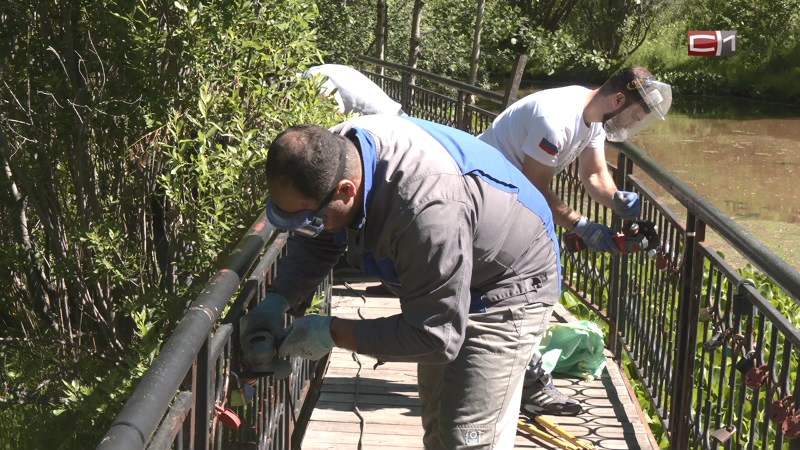 В Сургуте молодежь выходит в парки, чтобы помочь в благоустройстве города