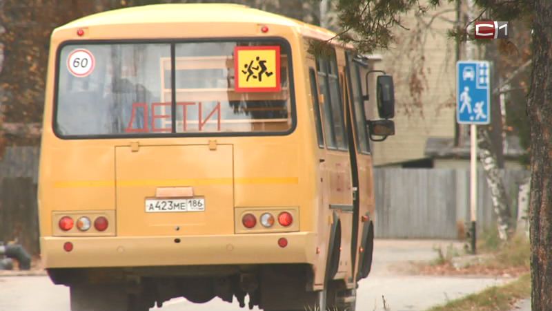 Югра получит 20 новых школьных автобусов в 2024 году