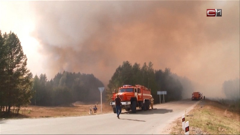 Более 180 возгораний ликвидировано в лесах Югры в июле