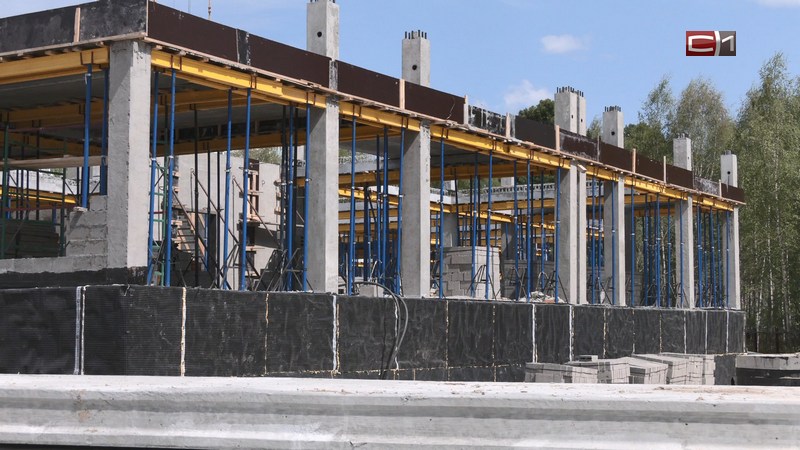 Школы, театр «Петрушка»: градостроительные перспективы Сургута