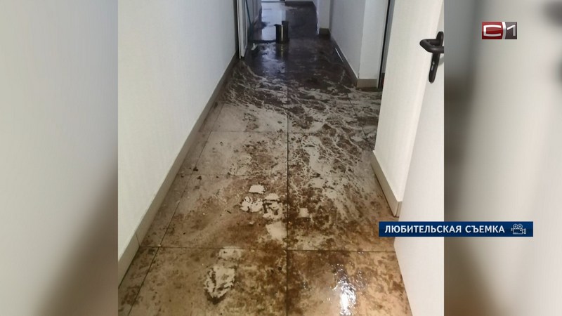 Центр сдачи норм ГТО в Сургуте повторно залило нечистотами