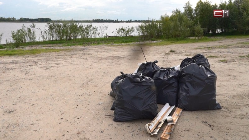 Сургутяне очистили от мусора берег Оби в районе Югорского тракта