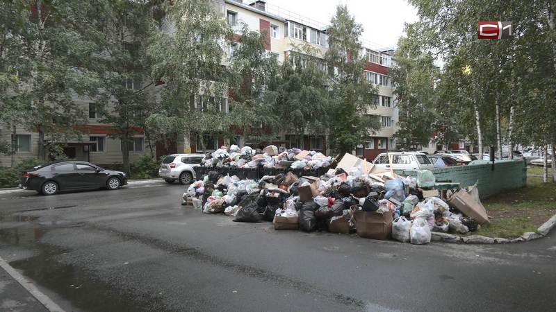 В ситуацию с нерегулярным вывозом мусора в Югре вмешался Александр Бастрыкин