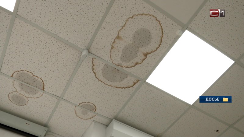 Центр сдачи нормативов ГТО в Сургуте застрахуют из-за залива стоками