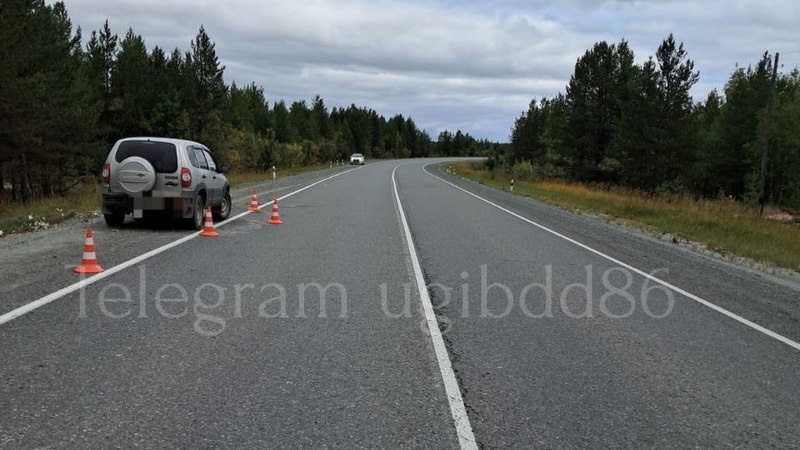 Жительница Ямала устроила аварию на трассе в Сургутском районе