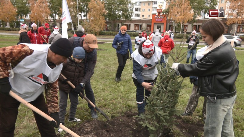 Полсотни хвойных деревьев высадили около нескольких торговых центров в Сургуте