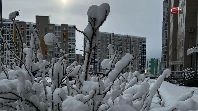 Первые снеговики в Югре: синоптики обещают осадки почти каждый день