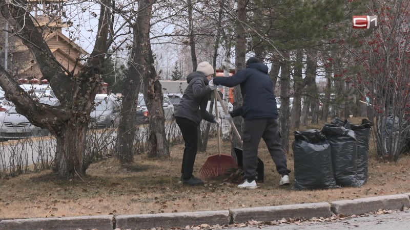 Насколько город стал чище: в Сургуте провели финальный перед зимой субботник