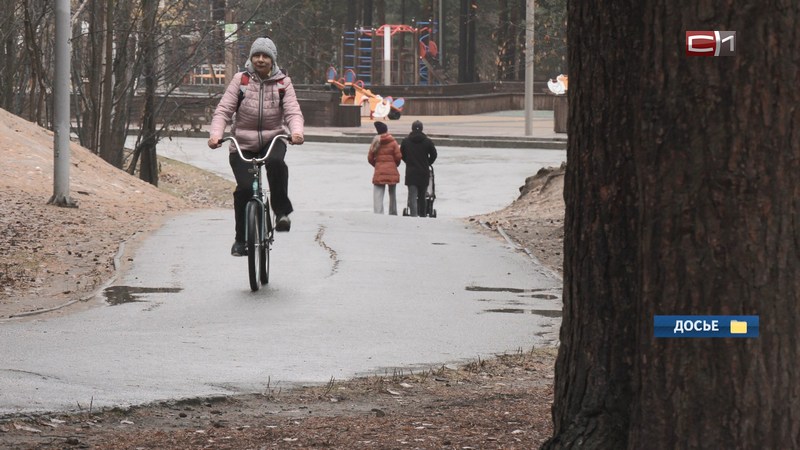 Власти Сургута хотят благоустроить городские территории совместно с бизнесом