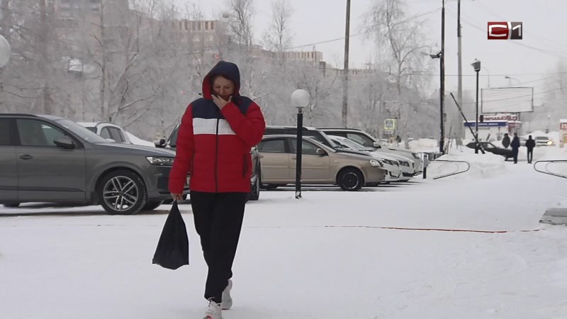 От холода к снегопаду и обратно: в ноябре погода в Сургуте будет переменчива