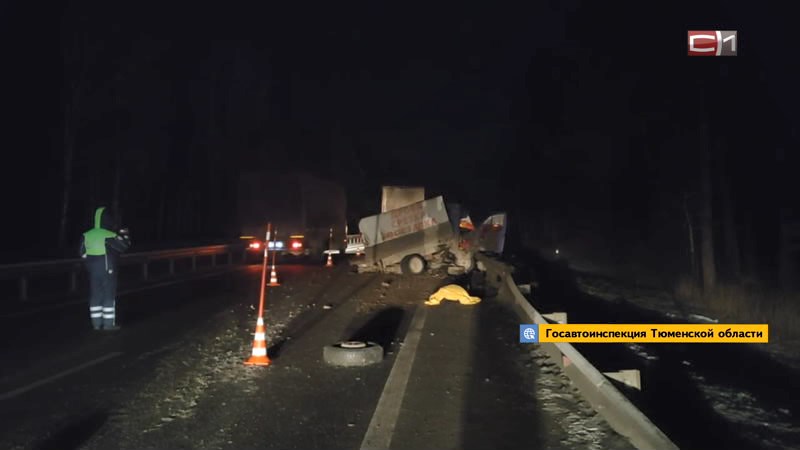 Женщина и две коровы погибли в ДТП с большегрузом и «Газелью» в Тюменской области