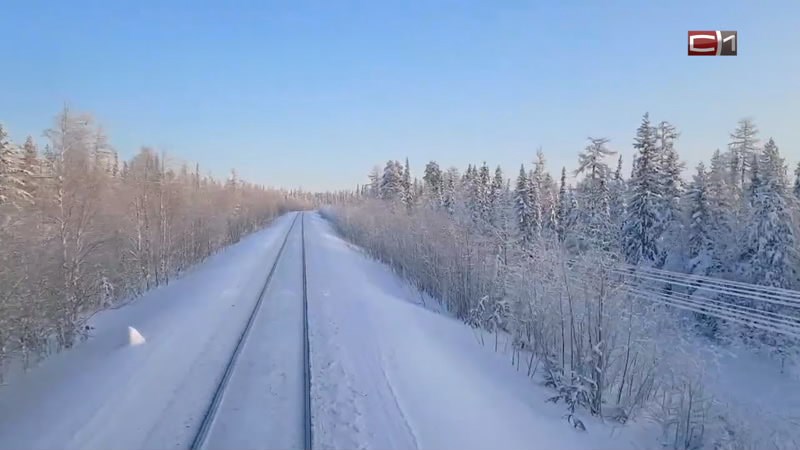 Пригородный поезд протаранил авто, выехавшее на переезд в Югре