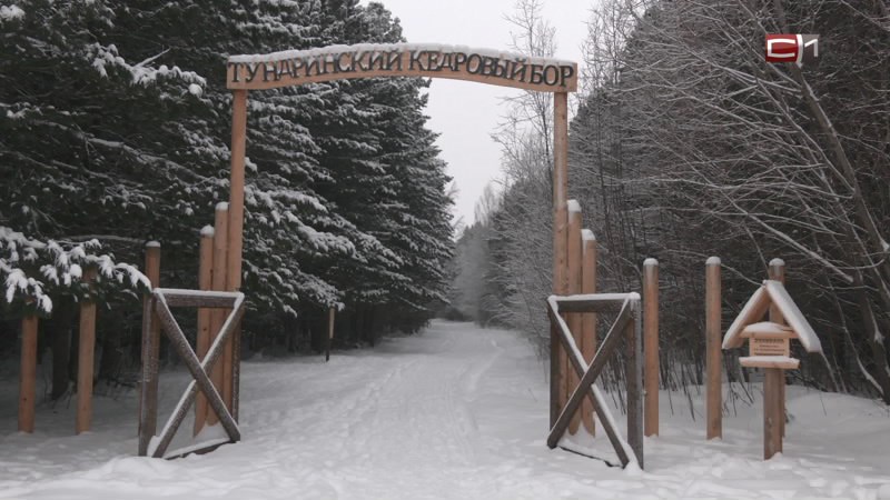 Где можно отдохнуть во время новогодних праздников в Сургутском районе