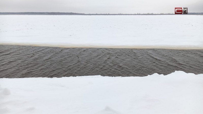 СРОЧНО! Двое младшеклассников провалились под лед в речпорту Сургута