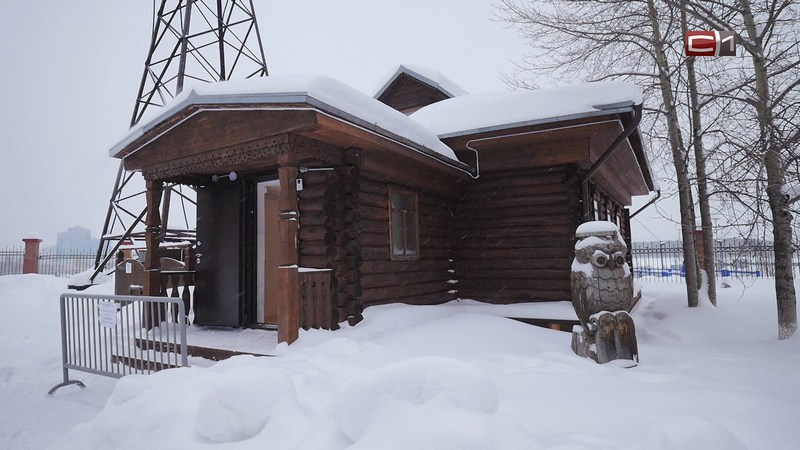 Погрузиться в дремучий лес: в Сургуте создадут выставку «Открывая тайгу»