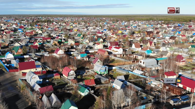 Неосвоенные дачные участки жителей Сургута начнут изымать