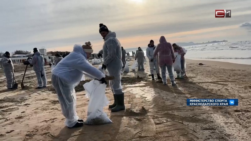 Югорчане активно подают заявки в первую экологическую миссию Гумкорпуса в Анапу