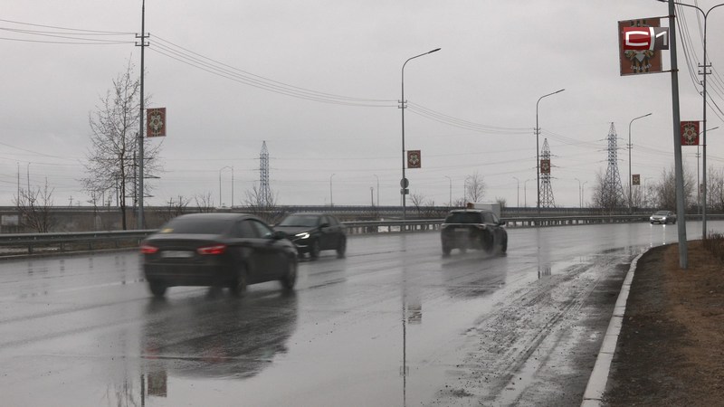 Перелетные птицы вернулись, а тепла все нет: какая погода ждет жителей Сургута