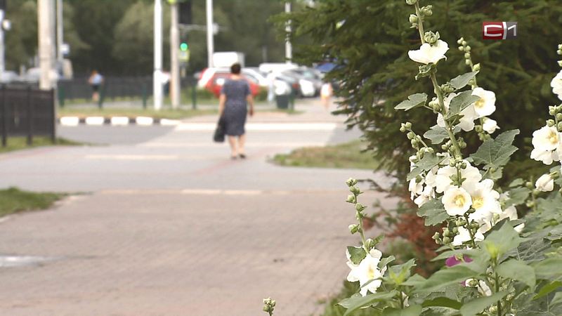 Готовимся к лету: когда синоптики ожидают теплую погоду в Сургуте