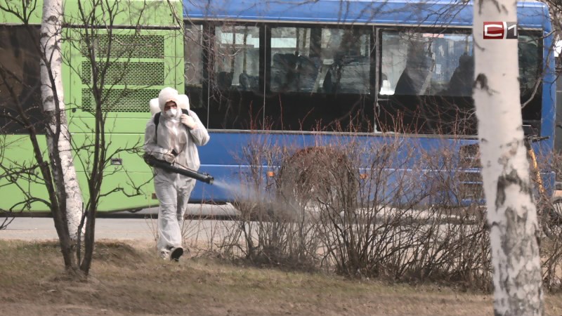 Пять бригад начали первый этап обработки сургутских парков и объектов от клещей