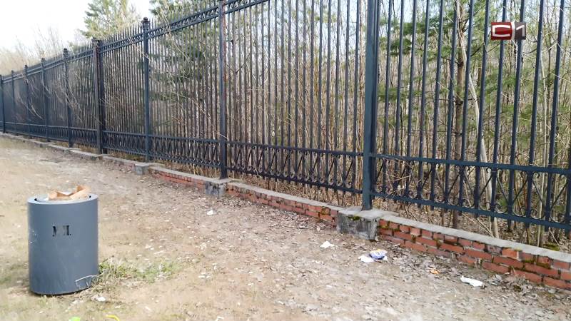 Главные улицы Сургута проверили на послепраздничную чистоту