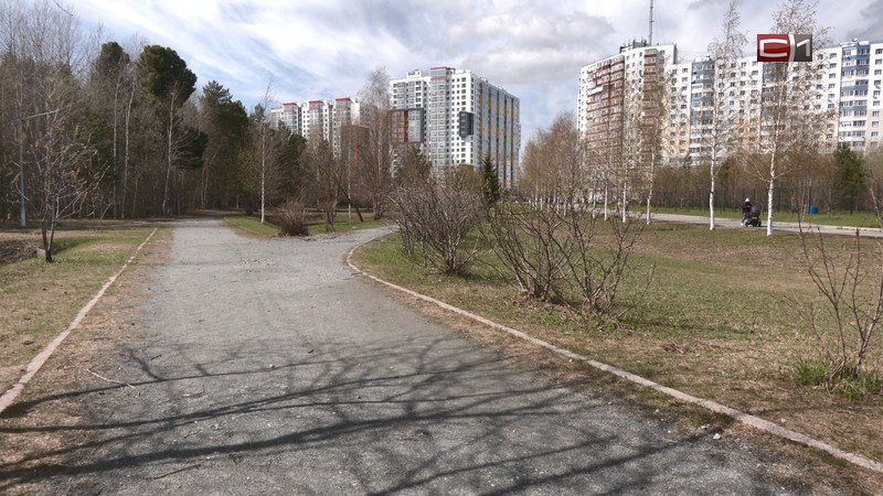 Неприятности в кустах: доверяют ли сургутяне прививке от клещевого энцефалита