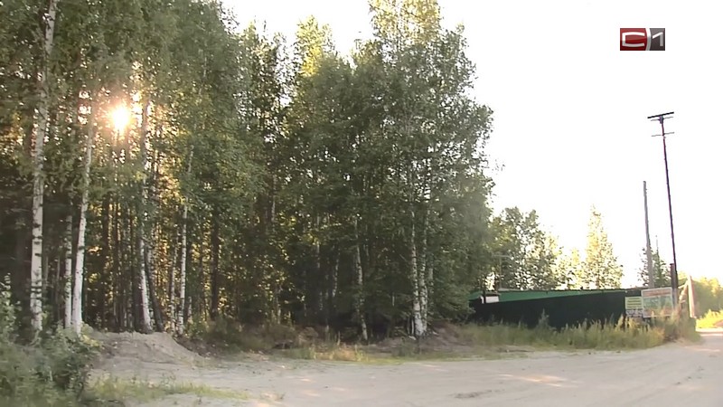 Югорчан предупреждают о возможности заражения энцефалитом без контакта с клещом