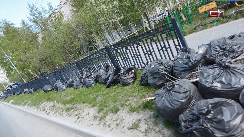 Стало известно, когда с газонов в Сургуте уберут мешки с собранной листвой