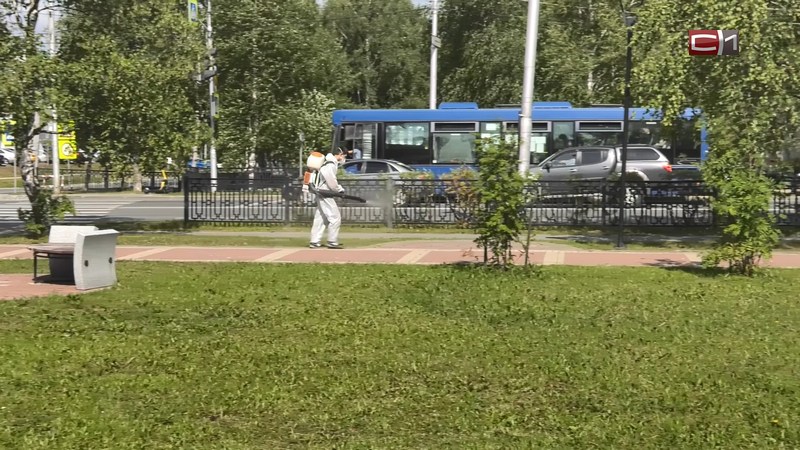 В парках и скверах Сургута пройдет второй этап обработки территорий от клещей