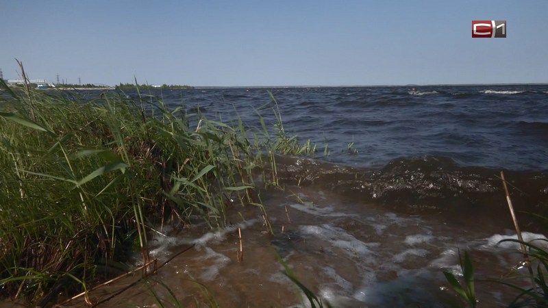 За купание в местных водоемах жителей Сургута будут штрафовать