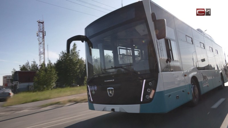 Будут ездить по центральным улицам: новые автобусы прибыли в Сургут