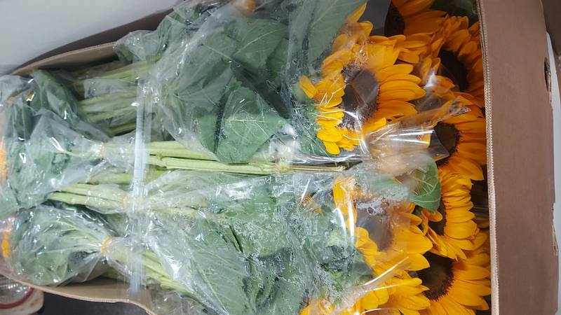 Более 27 тысяч цветов из Армении доставили в Сургут самолетами в июне