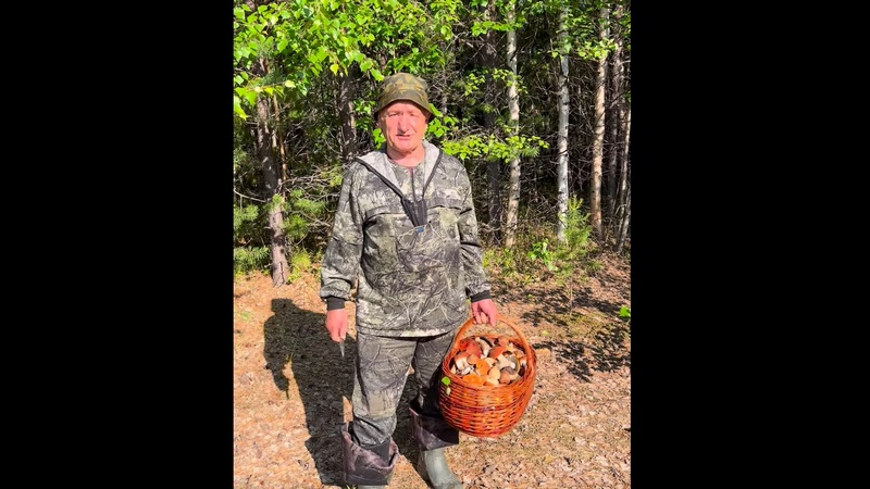 Глава-блогер из Югры Маненков рассказал, как он удачно «съездил по грибочки». ВИДЕО