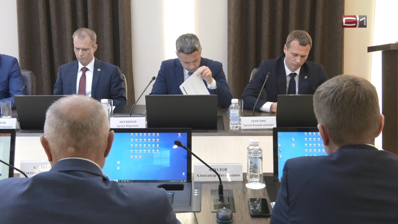 Дом для волонтеров из центра «Добрино» возведут в столице Югры