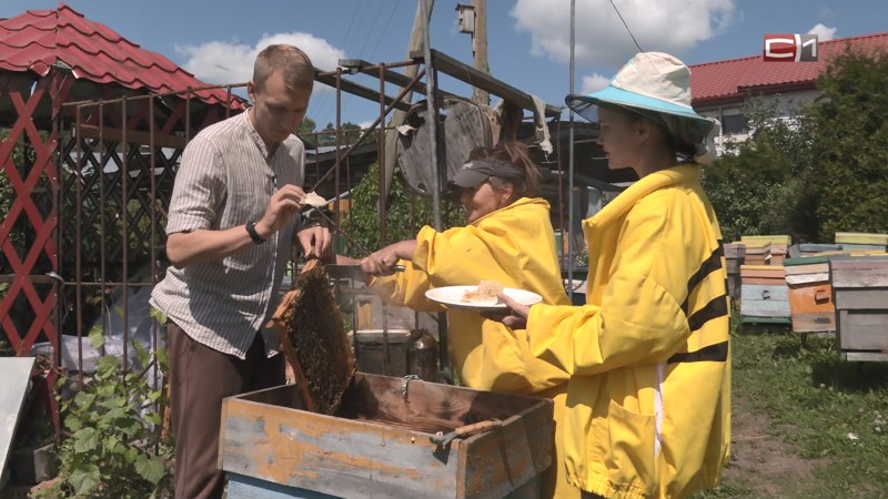 Консервы, мёд и мясные нарезки: чем тюменские фермеры удивляют югорчан
