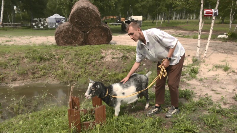 Сельский туризм в Тюменской области становится популярным видом отдыха у северян