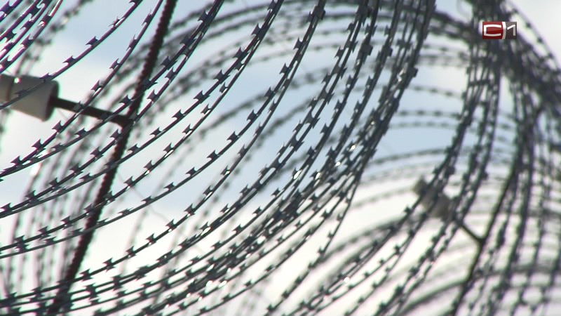 Две сургутянки оправятся в колонию за попытку сбыть наркотики