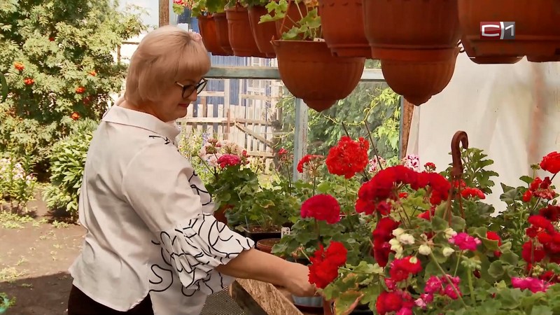 Победительница конкурса палисадников Тюменской области поделилась секретом