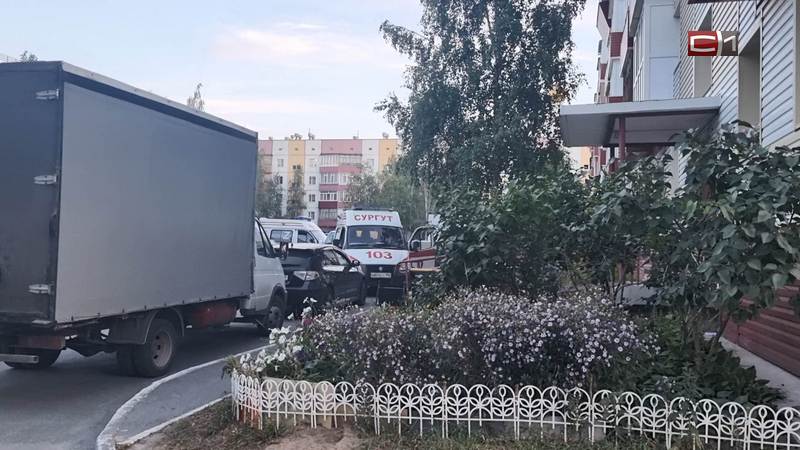 Хозяйская собака во дворе жилого дома в Сургуте запугала детей и родителей