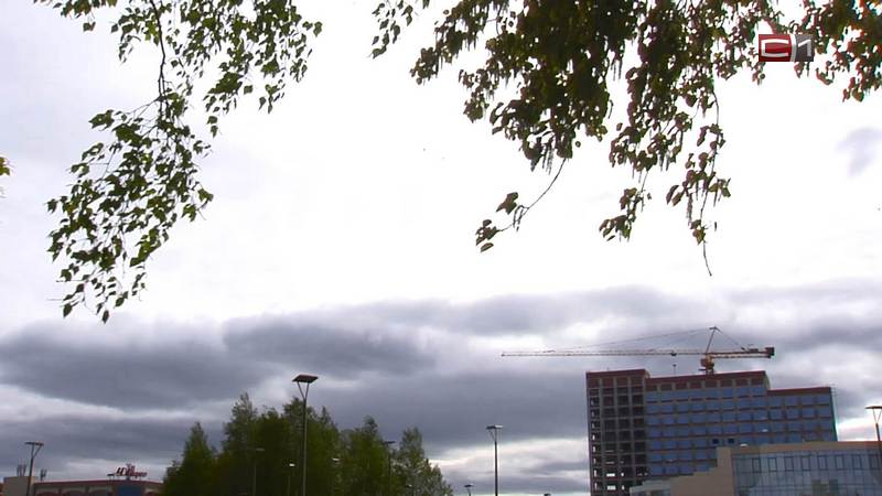 Какая погода будет в Сургуте во время школьных линеек