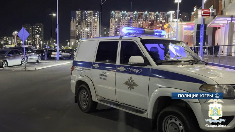 Более 60 мигрантов задержали при проверке документов около ТРЦ в Сургуте