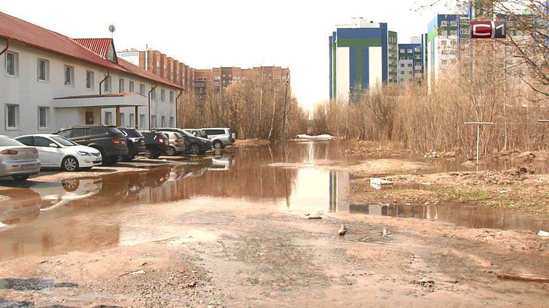 Клопы и свалка: как жительница Сургутского района превратила в ад жизнь соседей