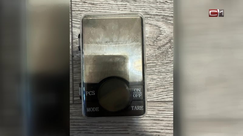 Любовь к растениеводству может стоить жителю Югры 10 лет свободы