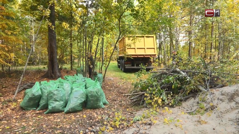 В Сургуте участники «Движения первых» провели уборку на старом кладбище