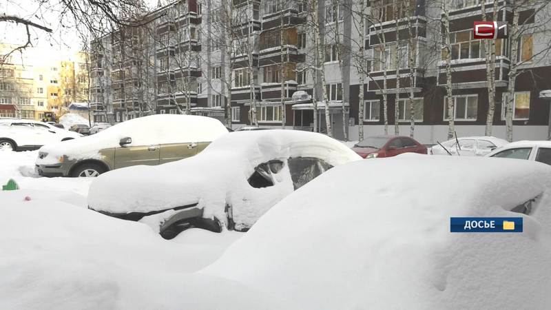 В Сургуте более 600 бесхозных автомобилей могут отправиться на спецстоянку