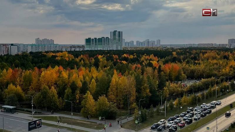 Какая погода ждет сургутян на следующей неделе