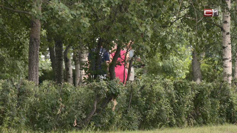 Жителей Сургута предупреждают о сильном порывистом ветре